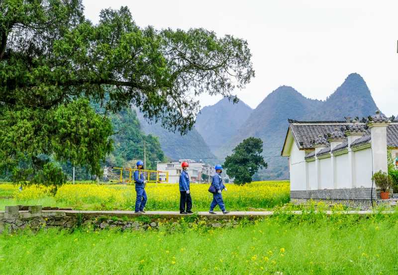 平塘供電局：“網(wǎng)格化”服務，護航“菜籃子”
