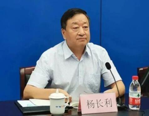 任職總經(jīng)理半年后，楊長利任中廣核董事長
