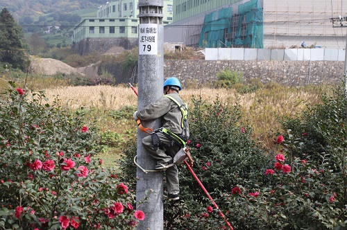 國網寧波市鄞州區(qū)供電公司柱上開關退保護，為供電可靠性架起橋梁