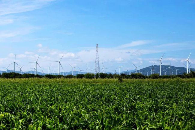 收購(gòu)墨西哥818MW光伏電站，國(guó)家電投境外光伏電站裝機(jī)超6GW