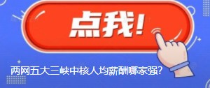國網(wǎng)南網(wǎng)華能大唐國家能源三峽中核人均薪酬哪家強？