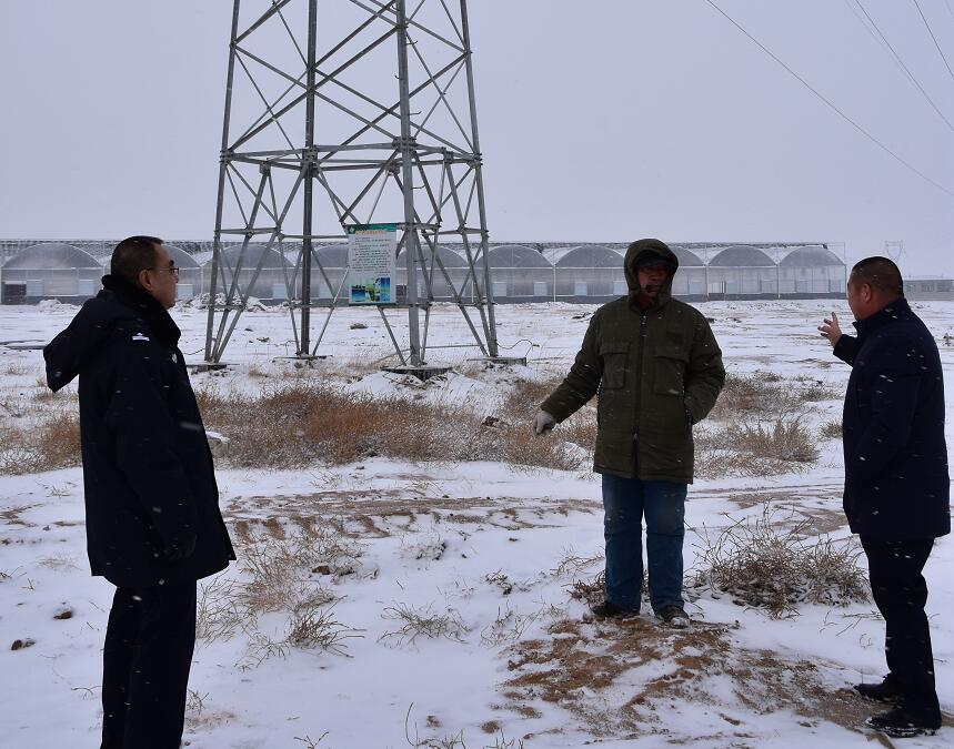 二連浩特供電公司：開展客戶側(cè)安全檢查，確?？诎犊蛻粝楹兔髁吝^春節(jié)