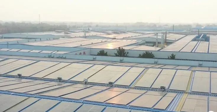 投資達9億！山東寒亭區(qū)447MW整縣分布式光伏項目正式啟動