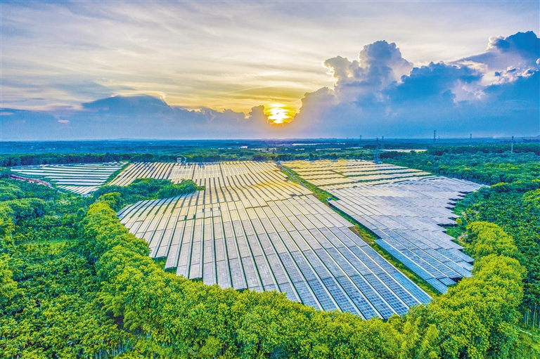海南電網(wǎng)公司加快構(gòu)建現(xiàn)代供電服務(wù)體系，驅(qū)動(dòng)鄉(xiāng)村振興電力引擎