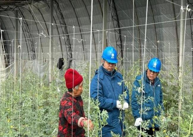 山東惠民供電公司：走訪種植大棚，優(yōu)化農(nóng)業(yè)營商環(huán)境