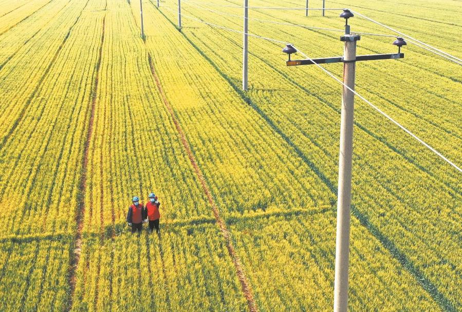 建立服務臺賬，精準了解村民用電需求