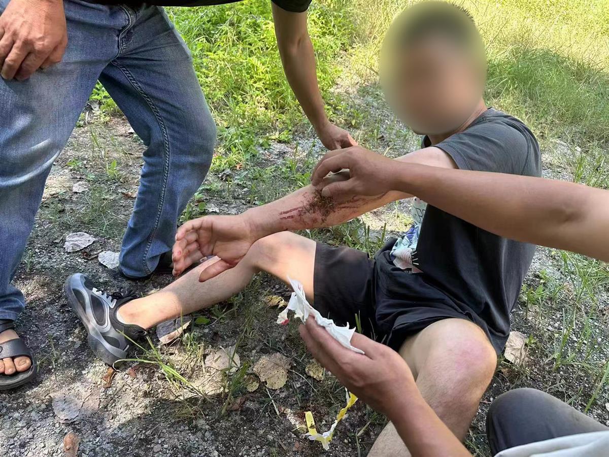 男子私設電網(wǎng)30余米，沒捕獲獵物卻電傷路人被刑拘